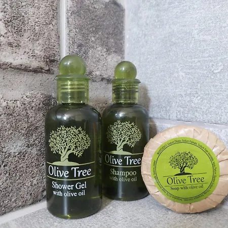 Anezinas Place بيريسا